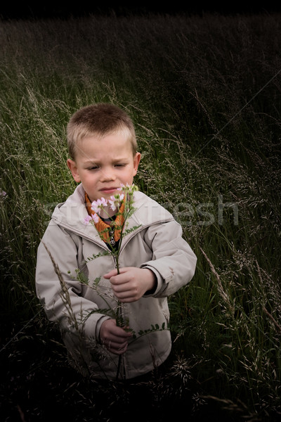[[stock_photo]]: Enfant · nature · vintage · photos · jeunes · fleur
