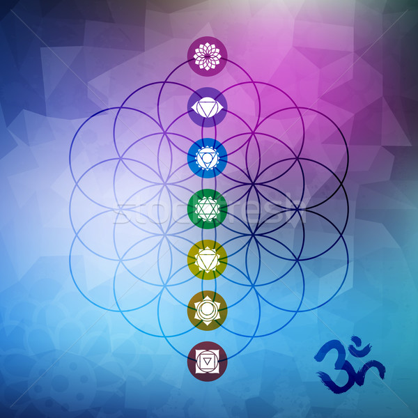 Sacred geometry flower of life with chakra icons Stock photo © cienpies