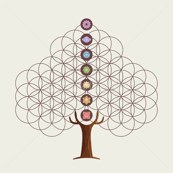 Flower of life concept tree with yoga chakras Stock photo © cienpies