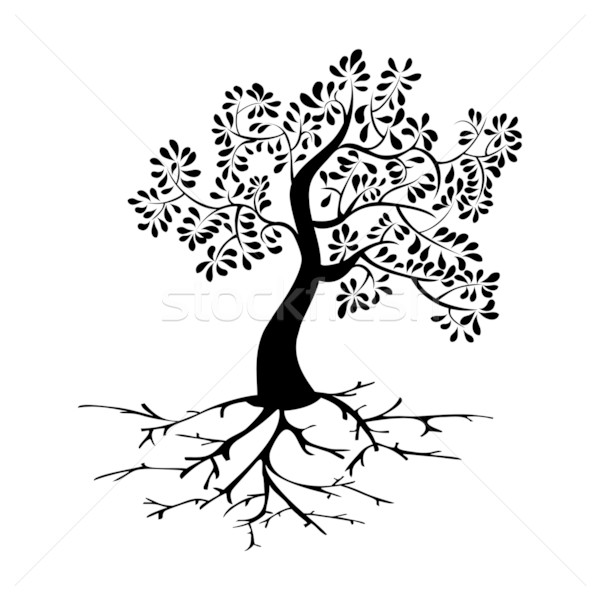 Black tree with roots silhouette Stock photo © cienpies