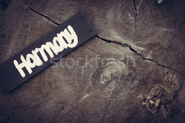 Hipster style wood background with harmony concept Stock photo © cienpies
