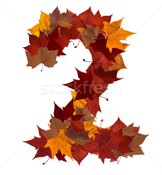 Number two multicolored fall leaf composition isolated Stock photo © cienpies