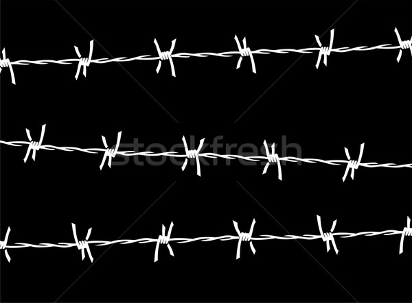 Barbed wire Stock photo © cienpies