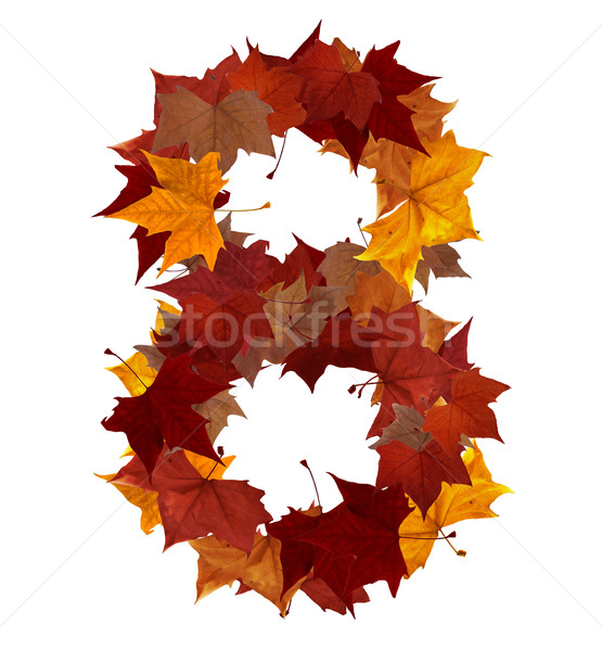 [[stock_photo]]: Nombre · huit · automne · feuille · isolé