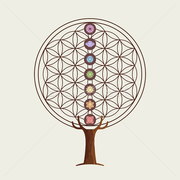 Flower of life concept tree with yoga chakras Stock photo © cienpies