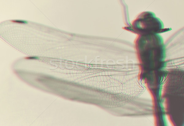 Dragonfly close up 3D anaglyph effect Stock photo © cienpies