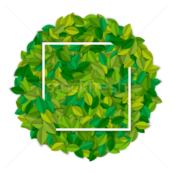 Green leaf sign template for nature design concept Stock photo © cienpies