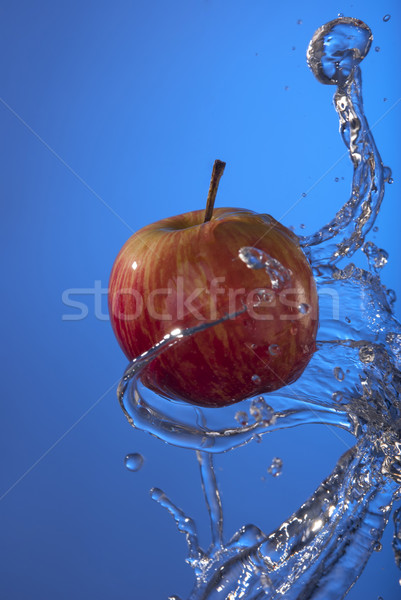 Orgánico manzana roja azul eco frutas Foto stock © cienpies