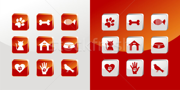 Pet care iconen glas ingesteld licht Stockfoto © cienpies