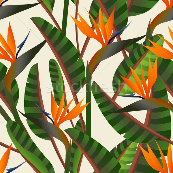 Bird of the paradise flower pattern Stock photo © cienpies