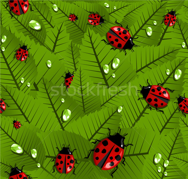 Spring leaves and ladybug pattern Stock photo © cienpies