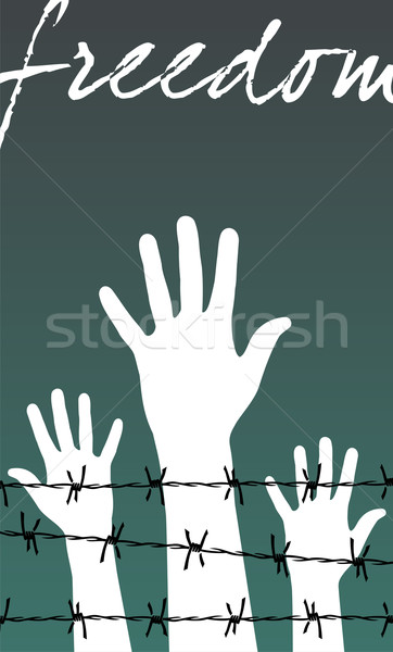 hands behind a barbed wire prison with the word Freedom Stock photo © cienpies