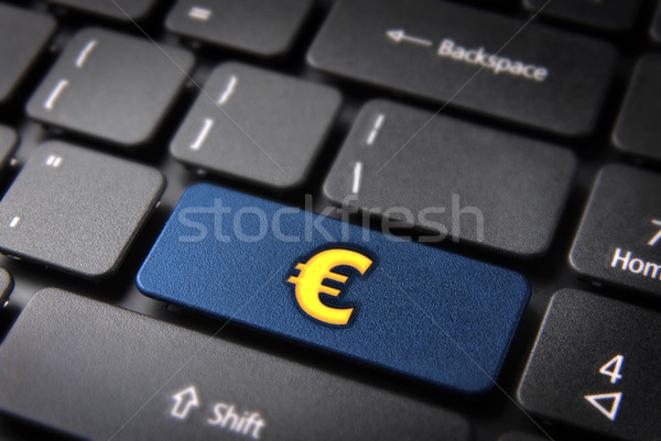 Bani Internet euro albastru cheie Imagine de stoc © cienpies
