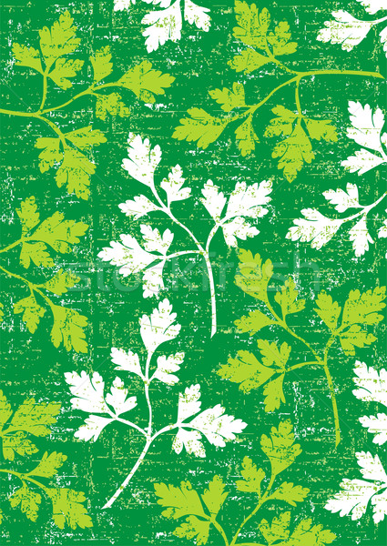 Stock photo: Parsley background on green.