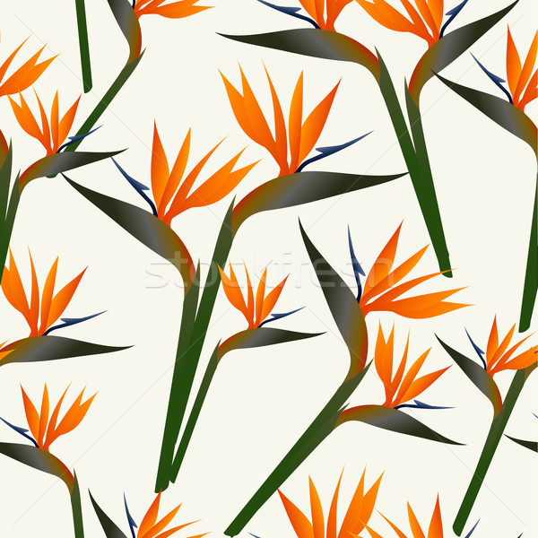 Stock photo: Paradise bird flower pattern