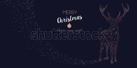 Christmas and new year luxury deer web banner Stock photo © cienpies