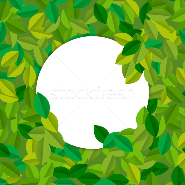 Empty sign template with green tree leaves  Stock photo © cienpies