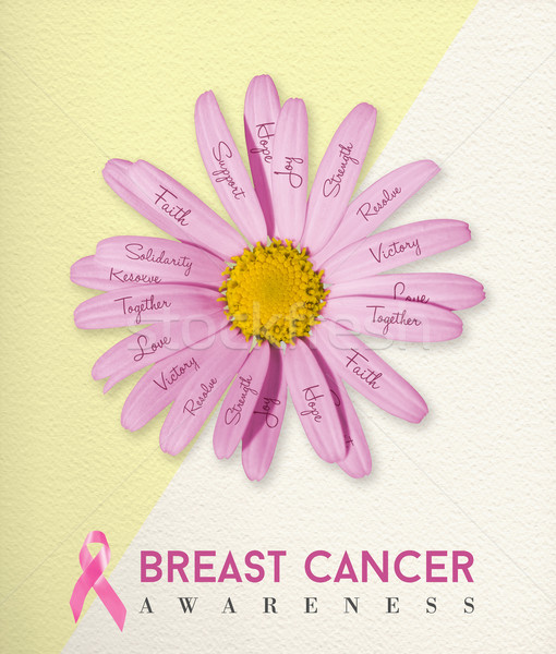 Breast cancer awareness pink flower background Stock photo © cienpies