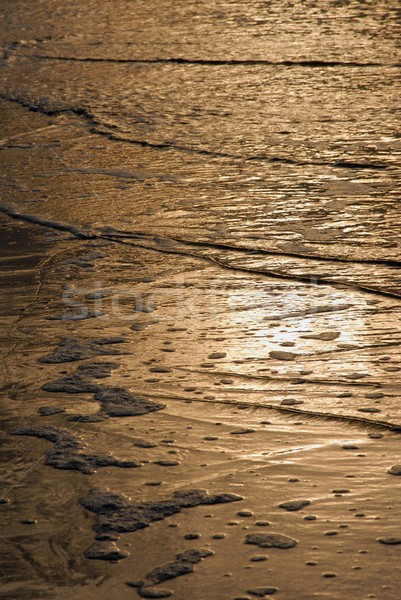 Golden waves texture on the beach Stock photo © cienpies