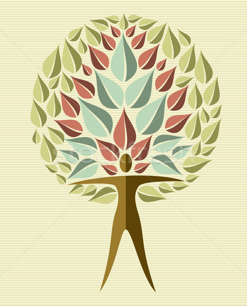 Stock photo: India yoga leaf tree
