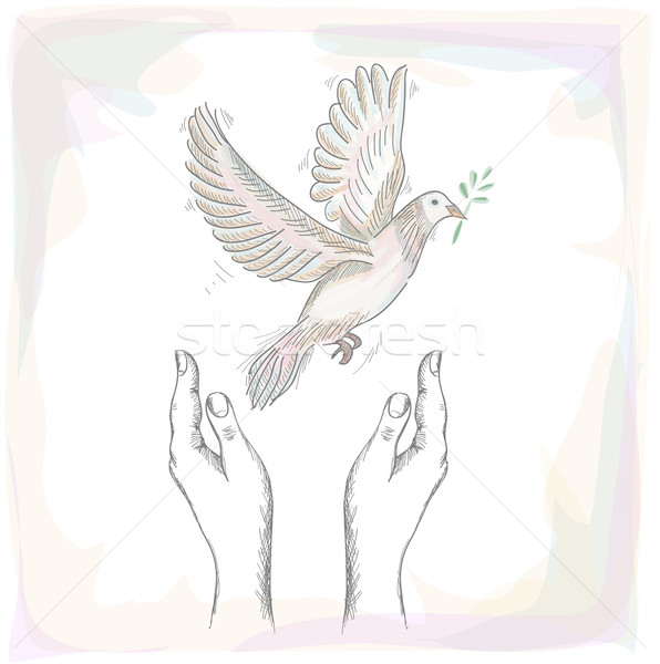 Human hands and peace dove illustration EPS10 file. Stock photo © cienpies