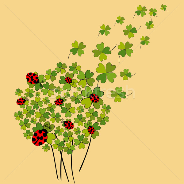Lucky spring clover Stock photo © cienpies