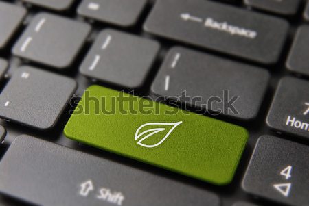 Green energy computer key concept for nature help Stock photo © cienpies