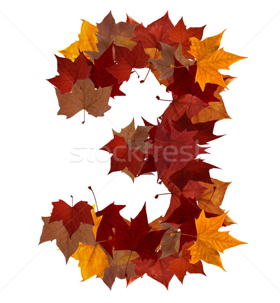 Number three multicolored fall leaf composition isolated Stock photo © cienpies