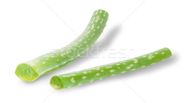 Foto stock: Aloe · aislado · blanco · flor · cuerpo · fondo