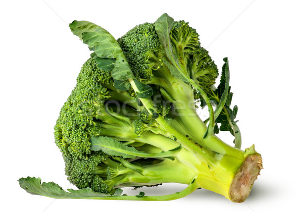 Duży brokuły pozostawia odizolowany biały żywności Zdjęcia stock © Cipariss