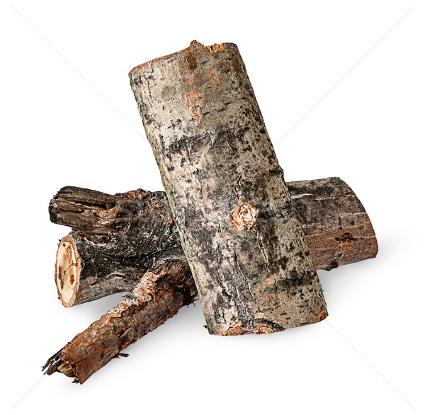 Deux peuplier isolé blanche arbre bois [[stock_photo]] © Cipariss