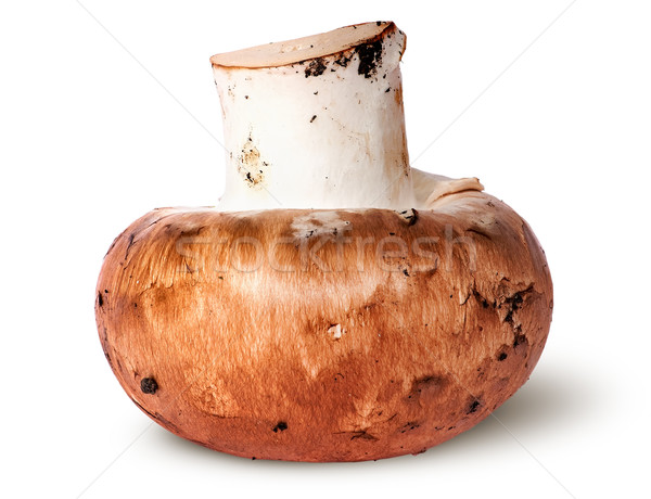 Egész barna champignon izolált fehér étel Stock fotó © Cipariss