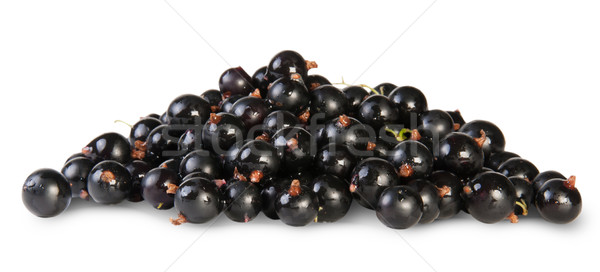 Fraîches noir groseille isolé blanche fruits [[stock_photo]] © Cipariss