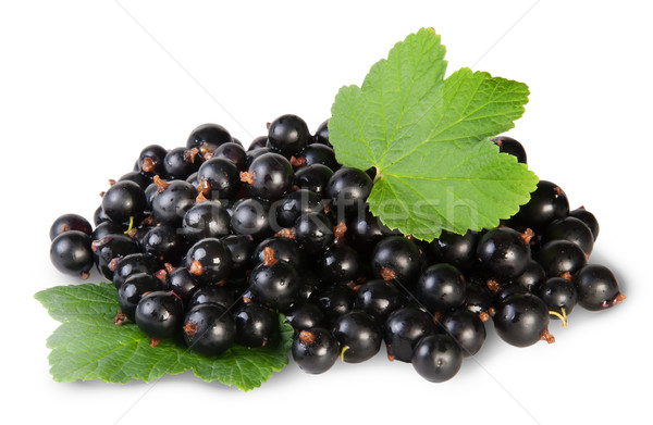 Bunch Of Black Currant With Two Leafs Stock photo © Cipariss