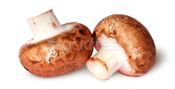 Zwei frischen braun Pilz neben isoliert Stock foto © Cipariss