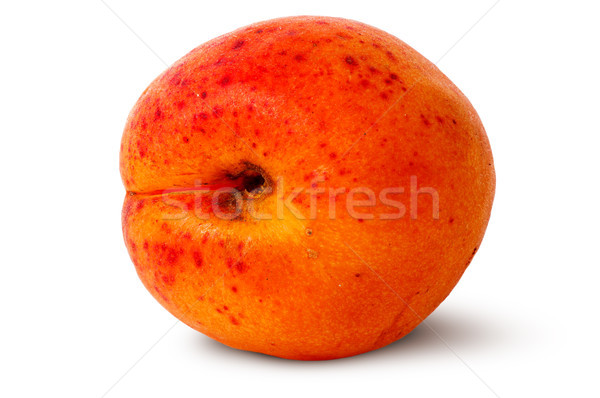 Ripe juicy apricots rotated Stock photo © Cipariss