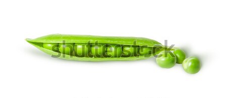 Kinyitott zöld hüvely zöldborsó izolált fehér Stock fotó © Cipariss