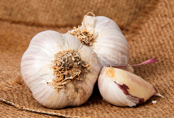 Two heads of garlic and garlic clove on sackcloth Stock photo © Cipariss