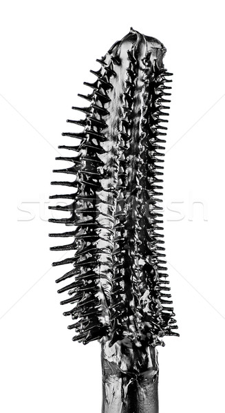 [[stock_photo]]: Mascara · brosse · noir · couleur · isolé