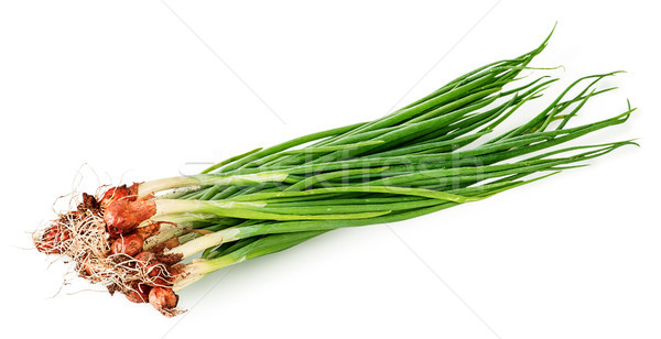 Bunch of young green onions Stock photo © Cipariss