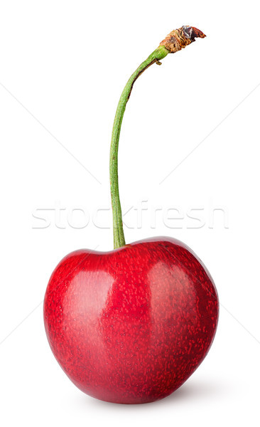 Zoete kers verticaal geïsoleerd witte vruchten Stockfoto © Cipariss