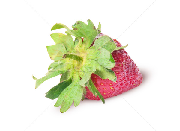 Single freshly strawberries backwards Stock photo © Cipariss