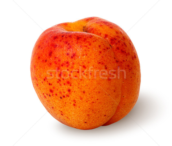 Ripe juicy apricots rotated vertically Stock photo © Cipariss