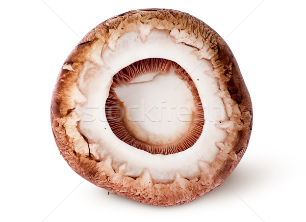 Cap on a brown champignon Stock photo © Cipariss