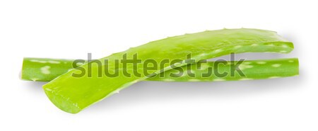 Aloe isoliert weiß Blume Körper Hintergrund Stock foto © Cipariss
