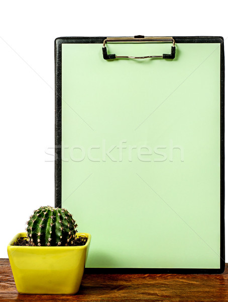 Stock photo: Cactus on the desk near the greenish board