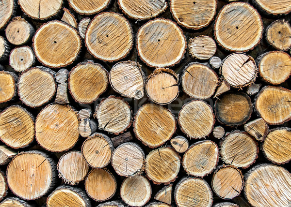 Background from dry wood logs stacked on each other Stock photo © Cipariss