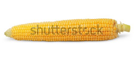 Purified ear of corn Stock photo © Cipariss