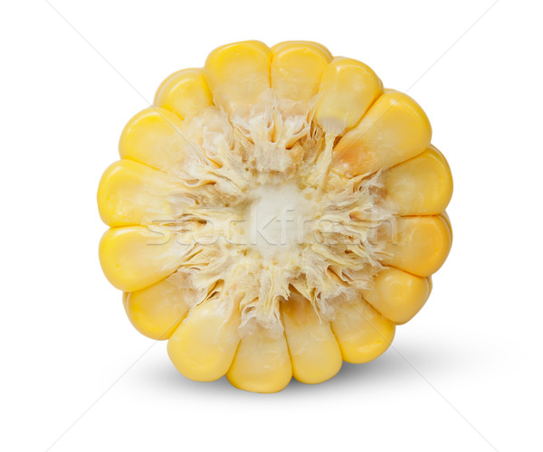 Piece of corn cob an end view Stock photo © Cipariss