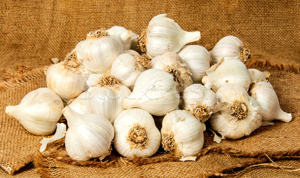 Big pile of garlic Stock photo © Cipariss